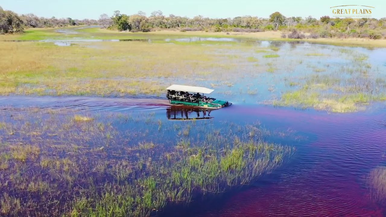 Okavango Explorers Camp | Great Plains