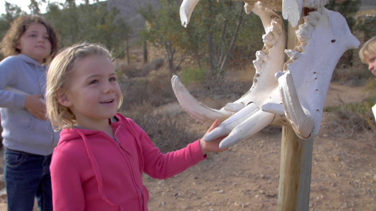 KIDS ON SAFARI - Sanbona Wildlife Reserve - Untamed, Untouched, Unforgettable!