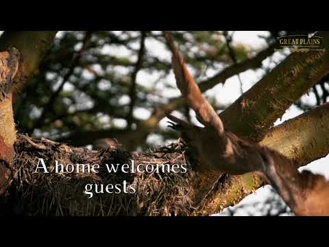 GREAT PLAINS | Welcome to our new Mara Camps