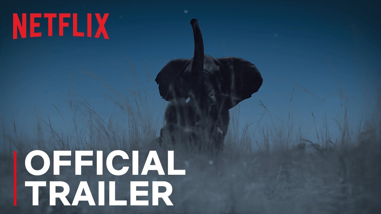 Night on Earth | Official Trailer | Netflix