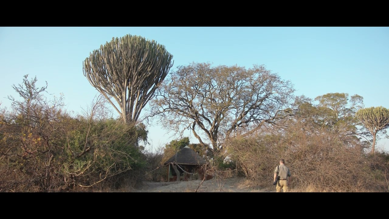 Ntemwa-Busanga Camp - An Introduction - (2023)