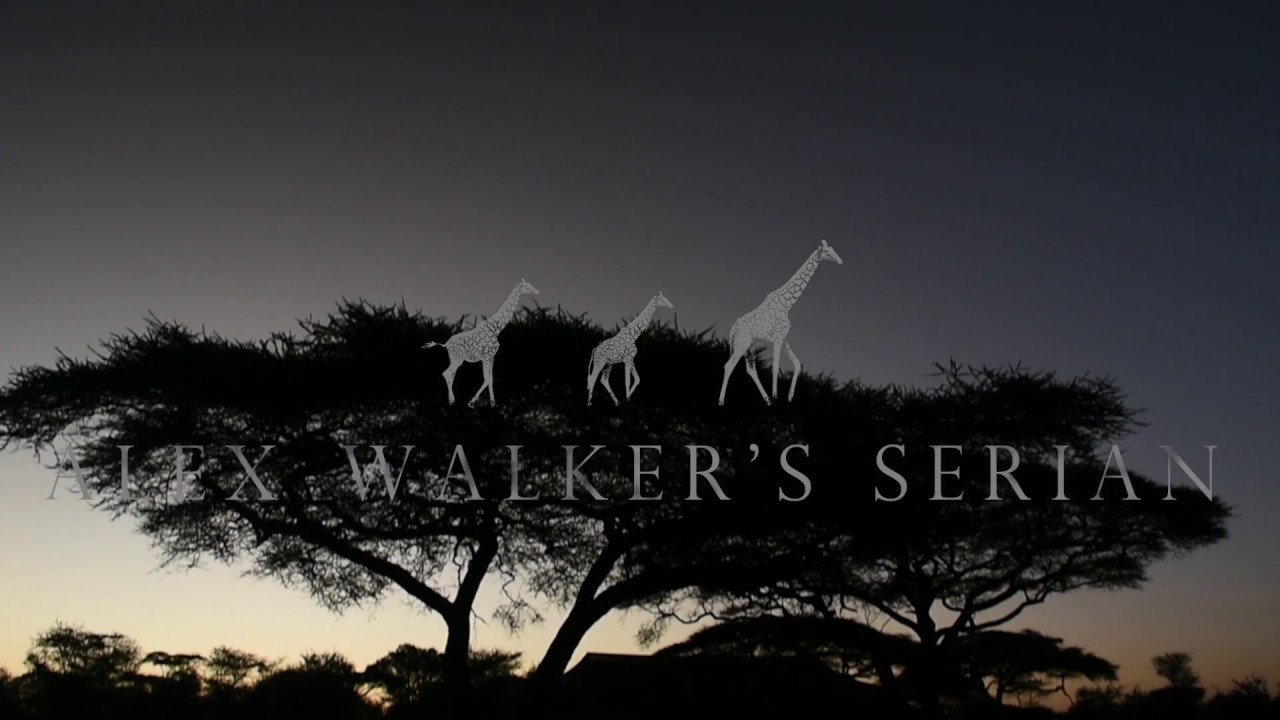 Day in the Life   Alex Walker's Serengeti Mobiles