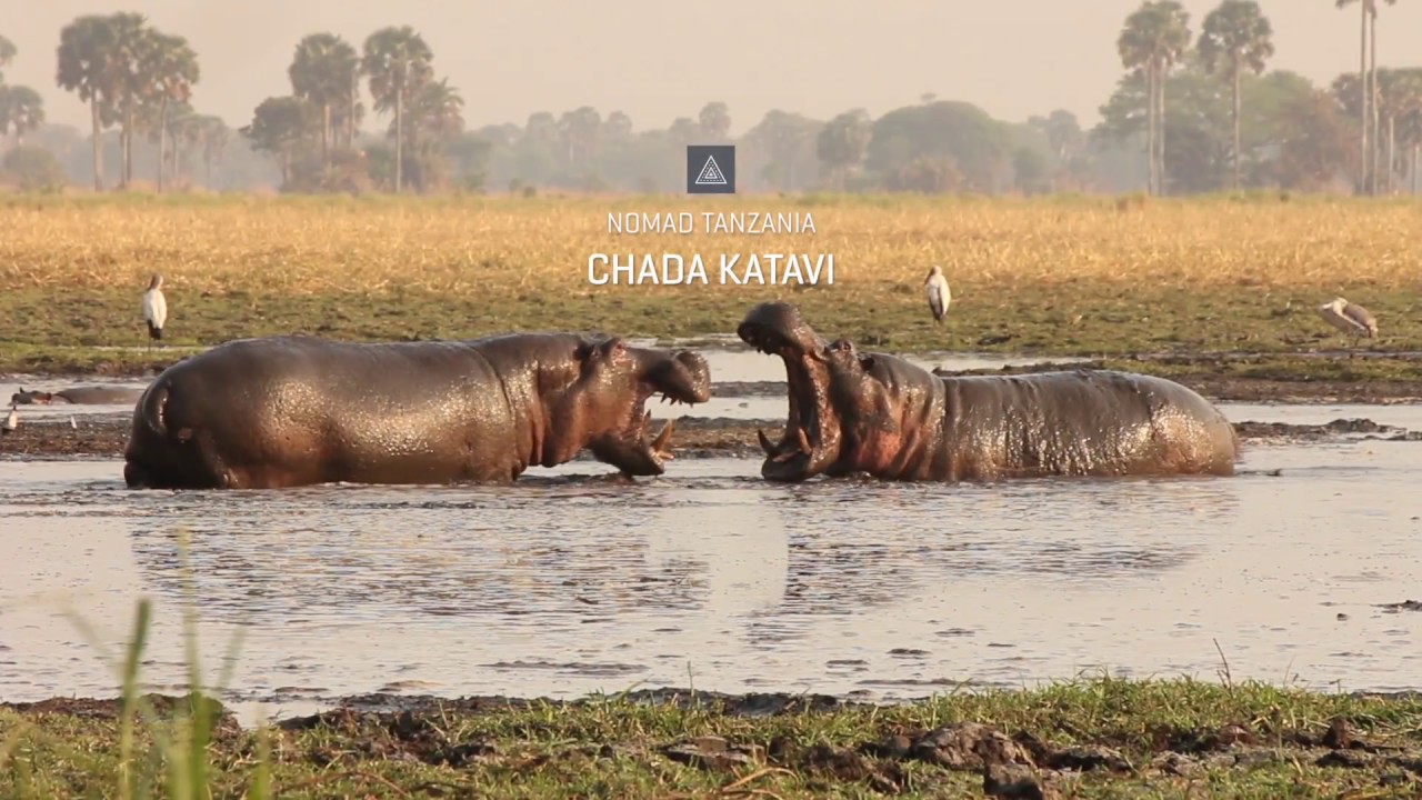 Nomad Tanzania's Chada Katavi