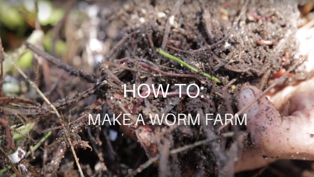 How To: Make a Worm Farm