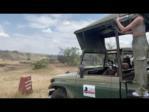 Another huge Mara river crossing at no 4