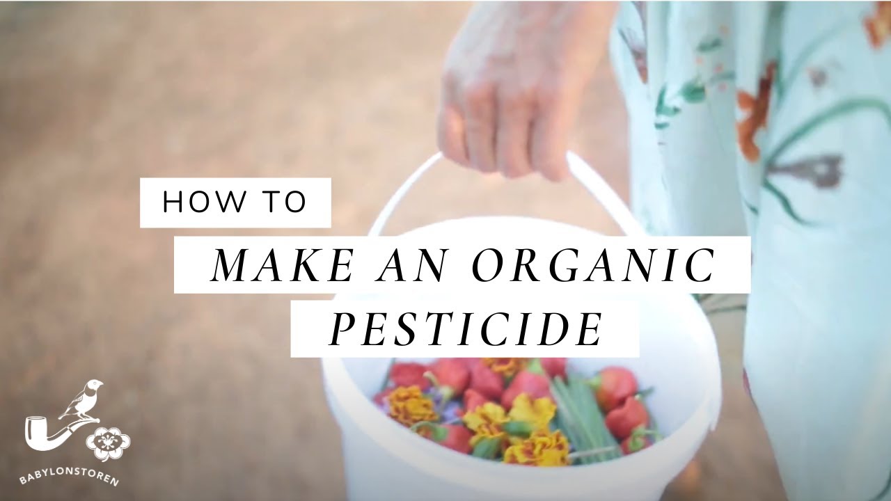 How To Make Organic Pesticide For A Vegetable Garden