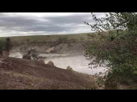 Spectacular River Crossing in the Masai Mara