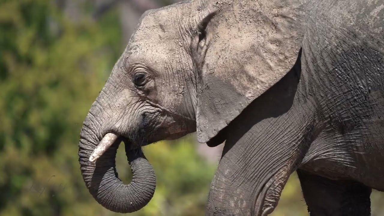 Three Rivers Camp - promotional video