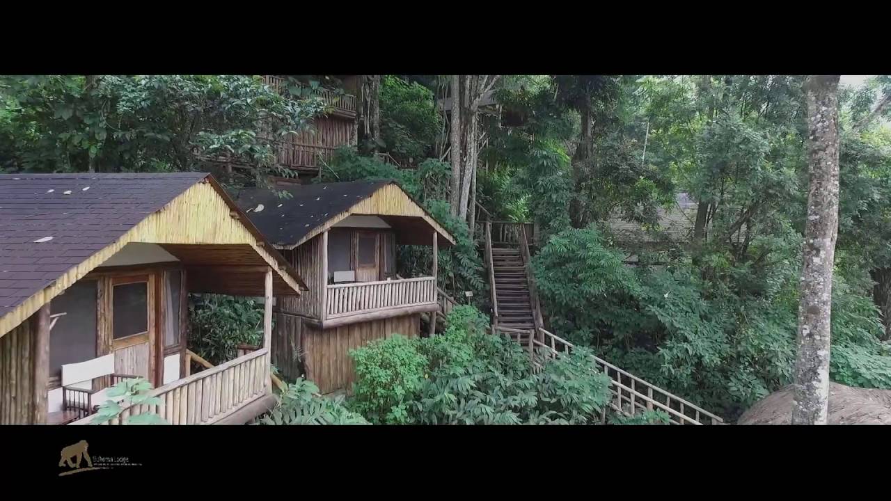 Buhoma Lodge Bwindi 1080p