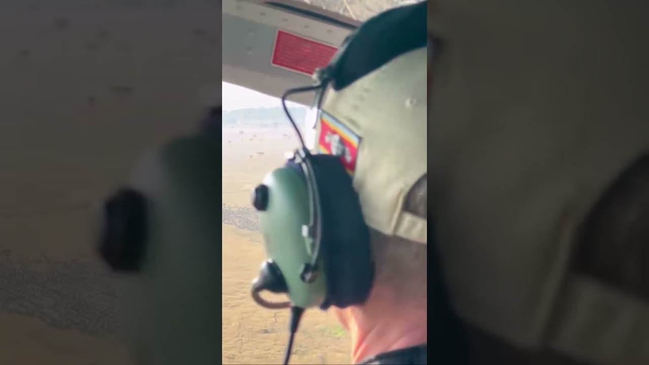 Huge wildebeest herd spotted from helicopter over Fort Ikoma Airstrip