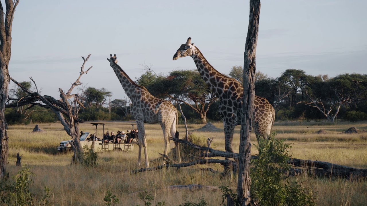The Hide Safari Camp Experience - Hwange National Park, Zimbabwe
