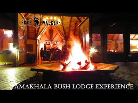 Amakhala Bush Lodge experience