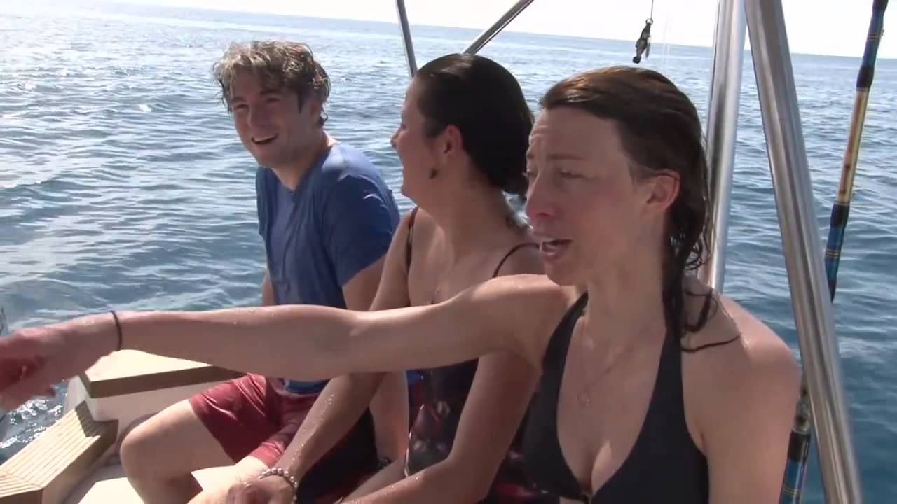 Whale shark excursion from Msambweni Beach House