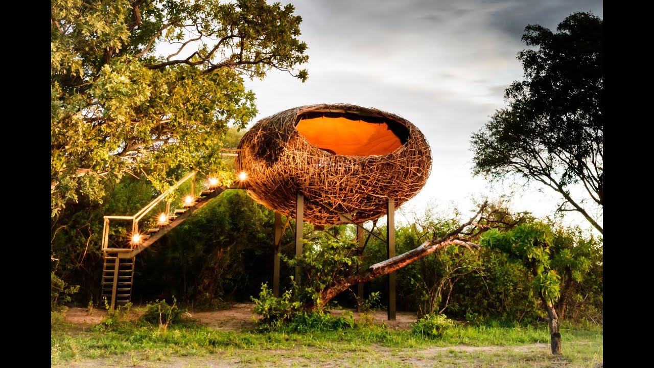 How EVERY DAY is World Environment Day at Green Safaris