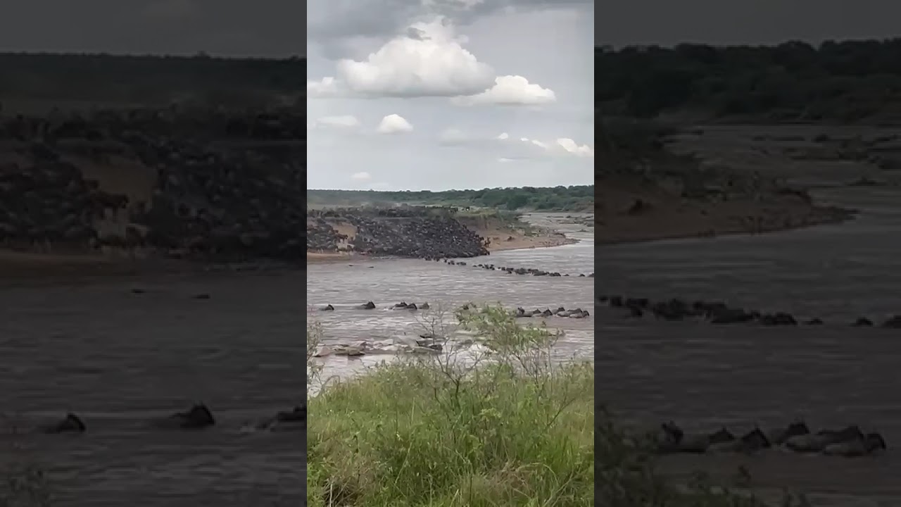 Great Migration River Crossing Reveals Changing Patterns