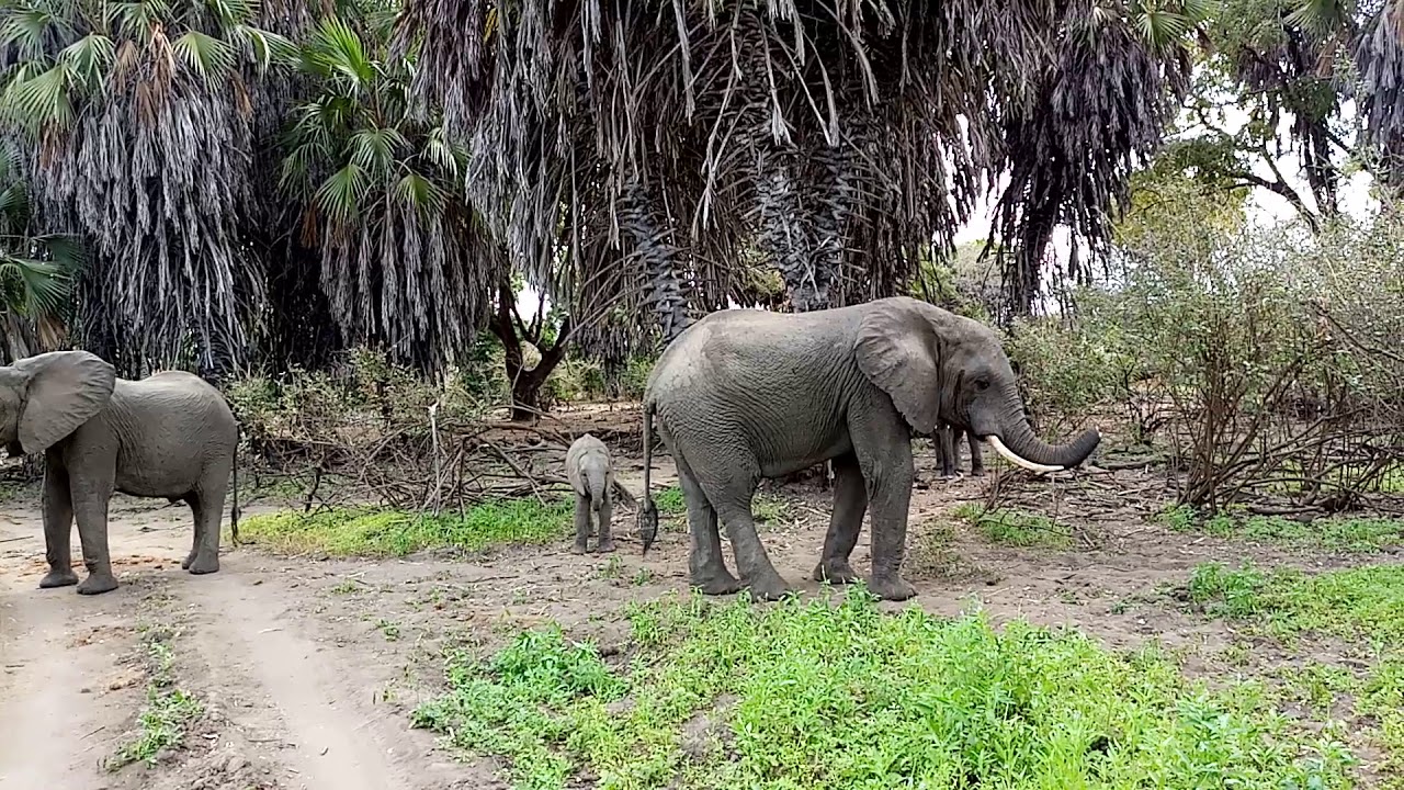 Essential Destinations - Lake Manze - Reverse gear by Kalisti Paul