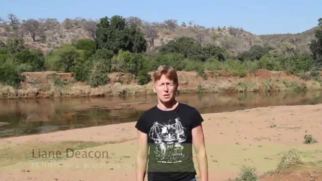 Pafuri Walking Trail Northern Kruger: Interview with British Tourists