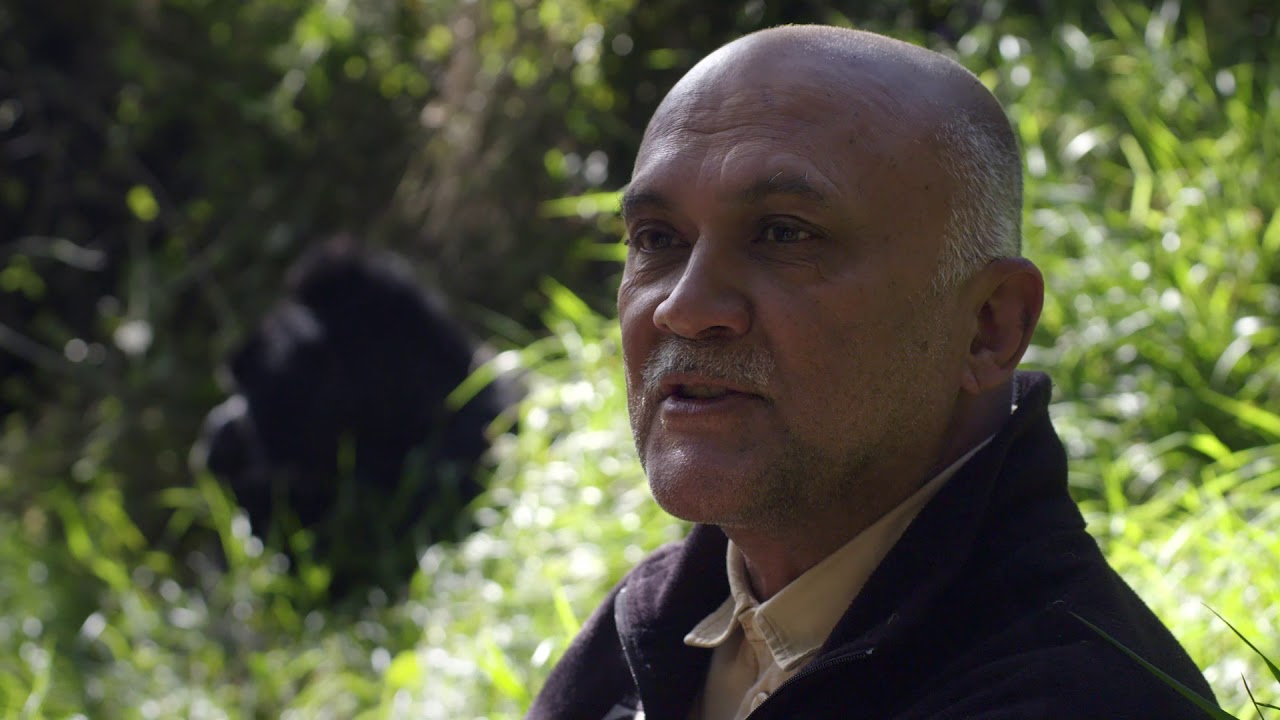 Praveen Moman: Celebrating Gorillas and Communities