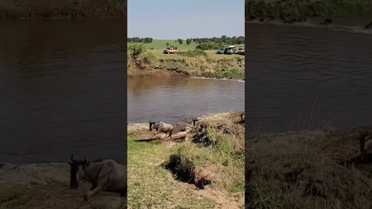 Live River crossings seen at Lamai Wedge