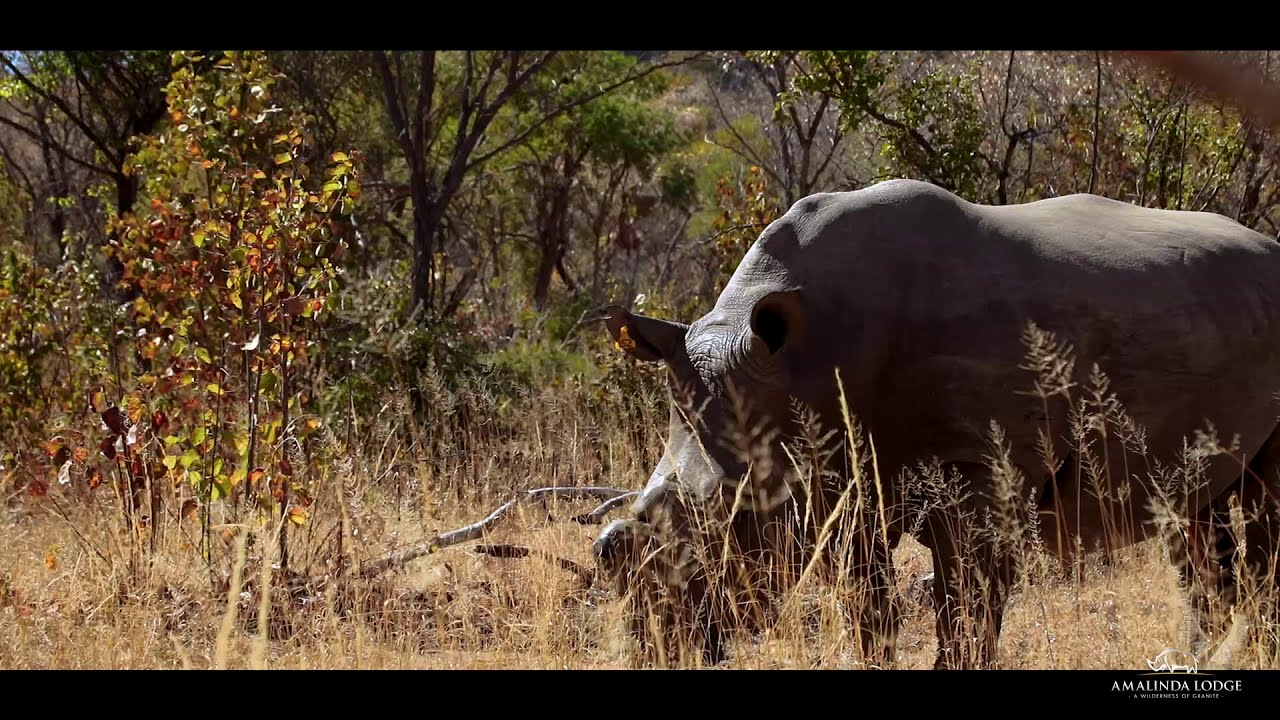 Amalinda Lodge - Where else in the World