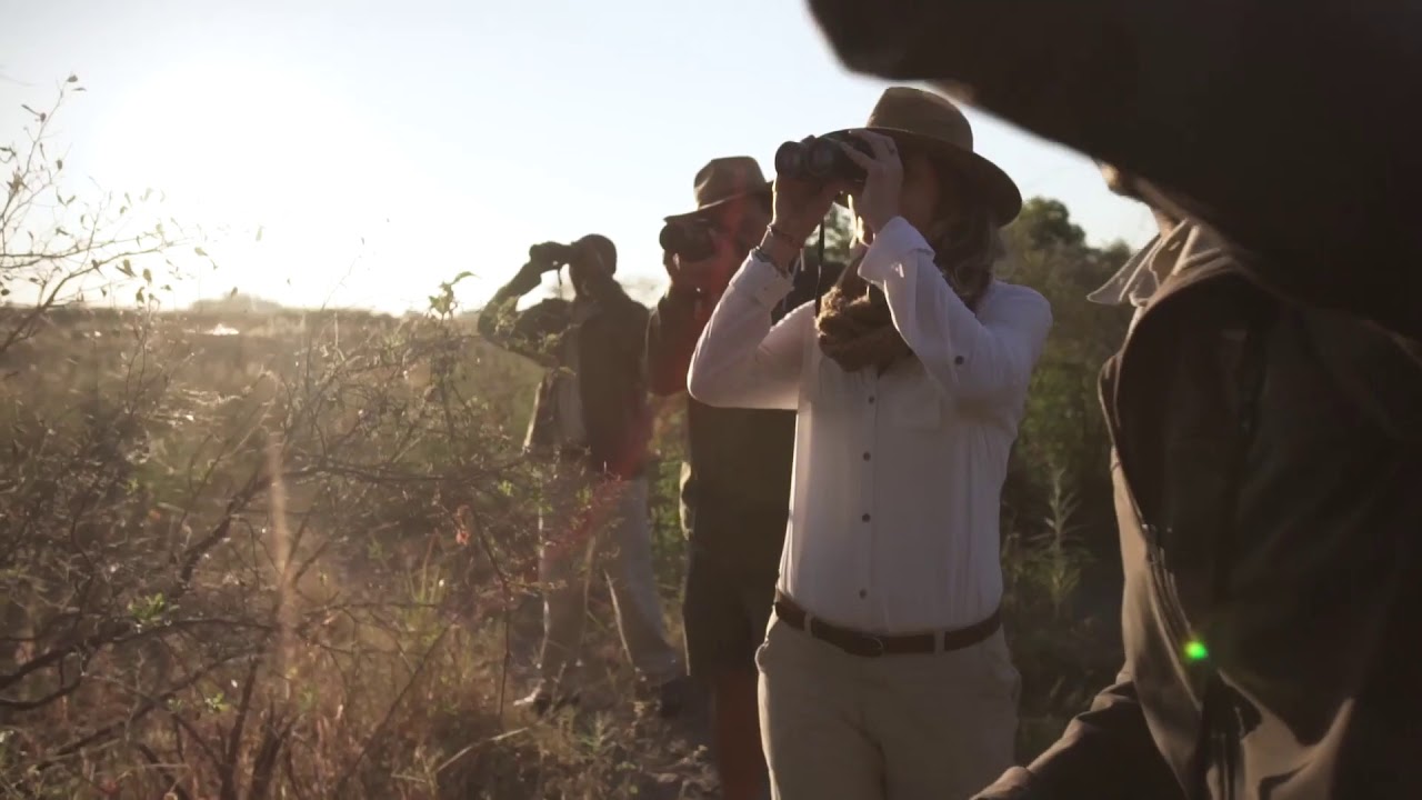 Okavango Delta and Victoria Falls Water and Wilderness Combo