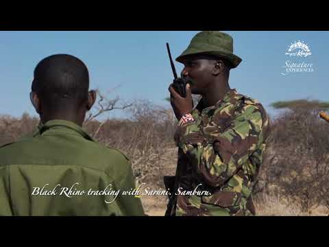 Black Rhino Tracking with Saruni