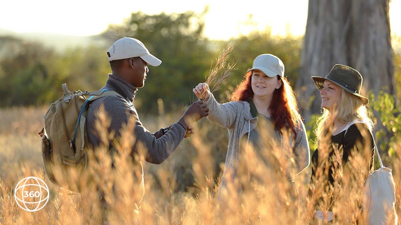Walking Safaris in Ruaha | 360° Virtual Tour