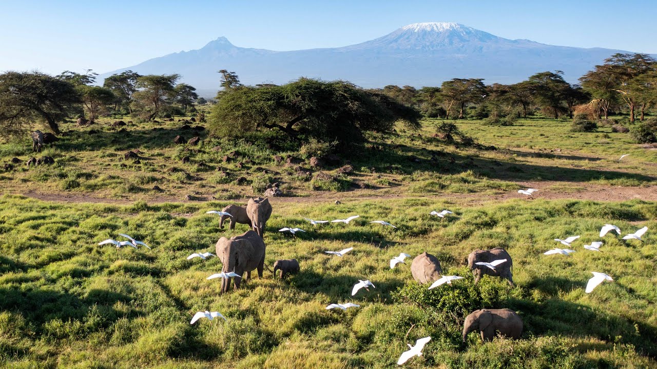 Introducing the Sanctuary: Home of Angama Amboseli