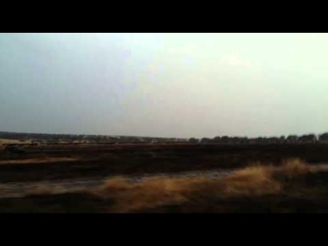 Burning in the central Serengeti and Kogatende - HerdTracker update 31 July