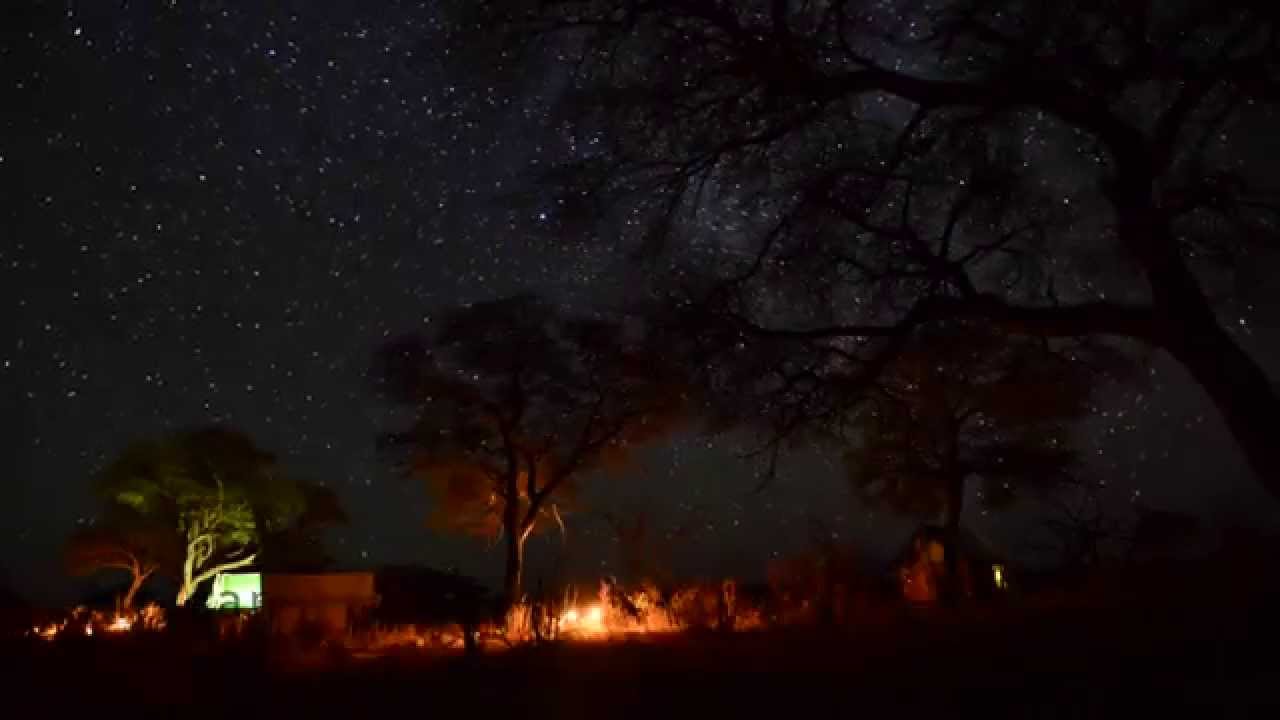 The Adams family can't get enough of Somalisa Camp