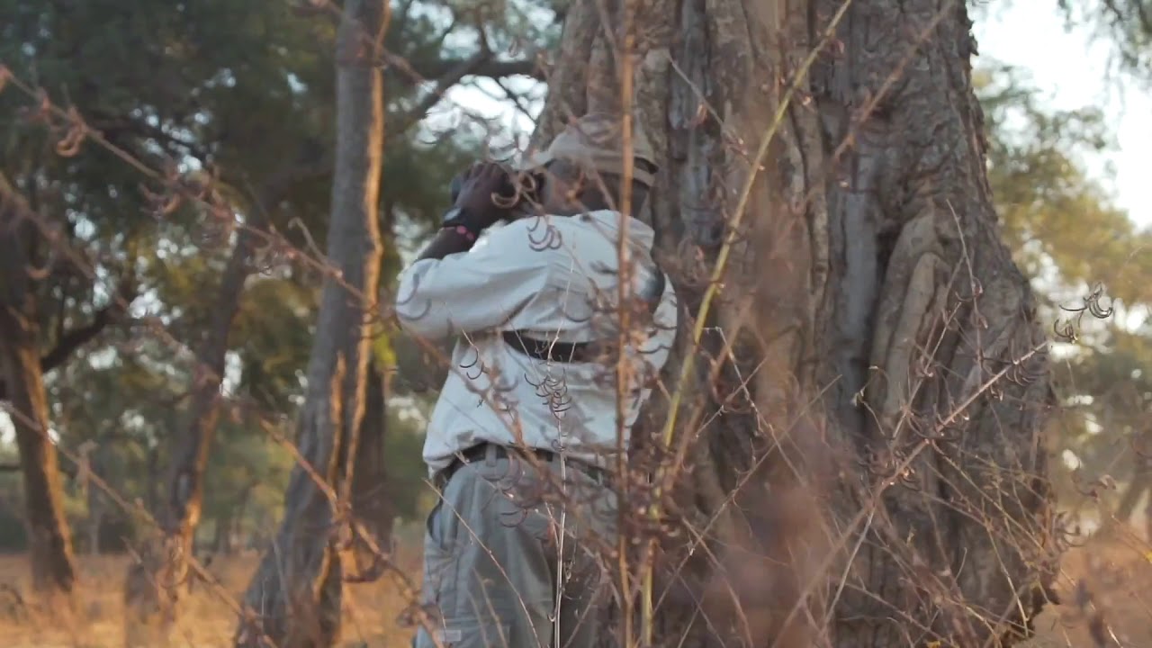 Hwange National Park and Mana Pools National Park adventure safari