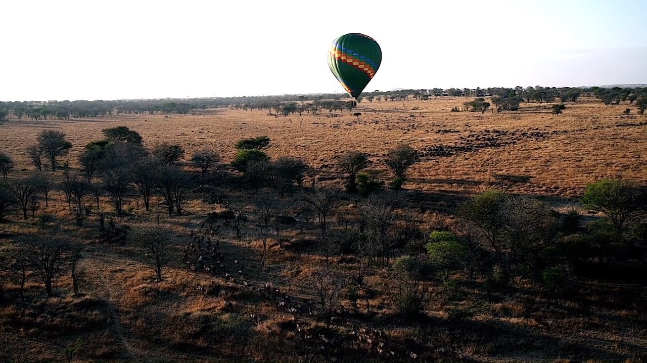 Migration River crossings fly in special Lemala Kuria Hills