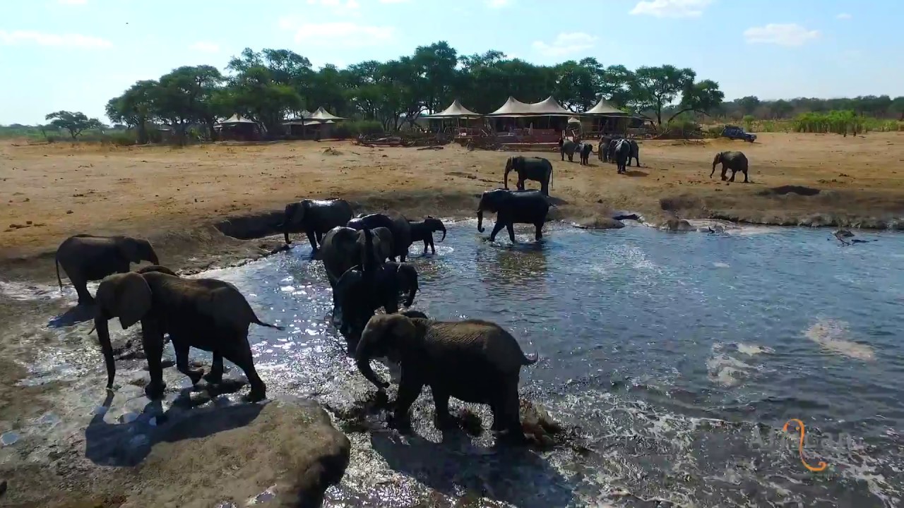 Somalisa Camp, Hwange National Park, Zimbabwe
