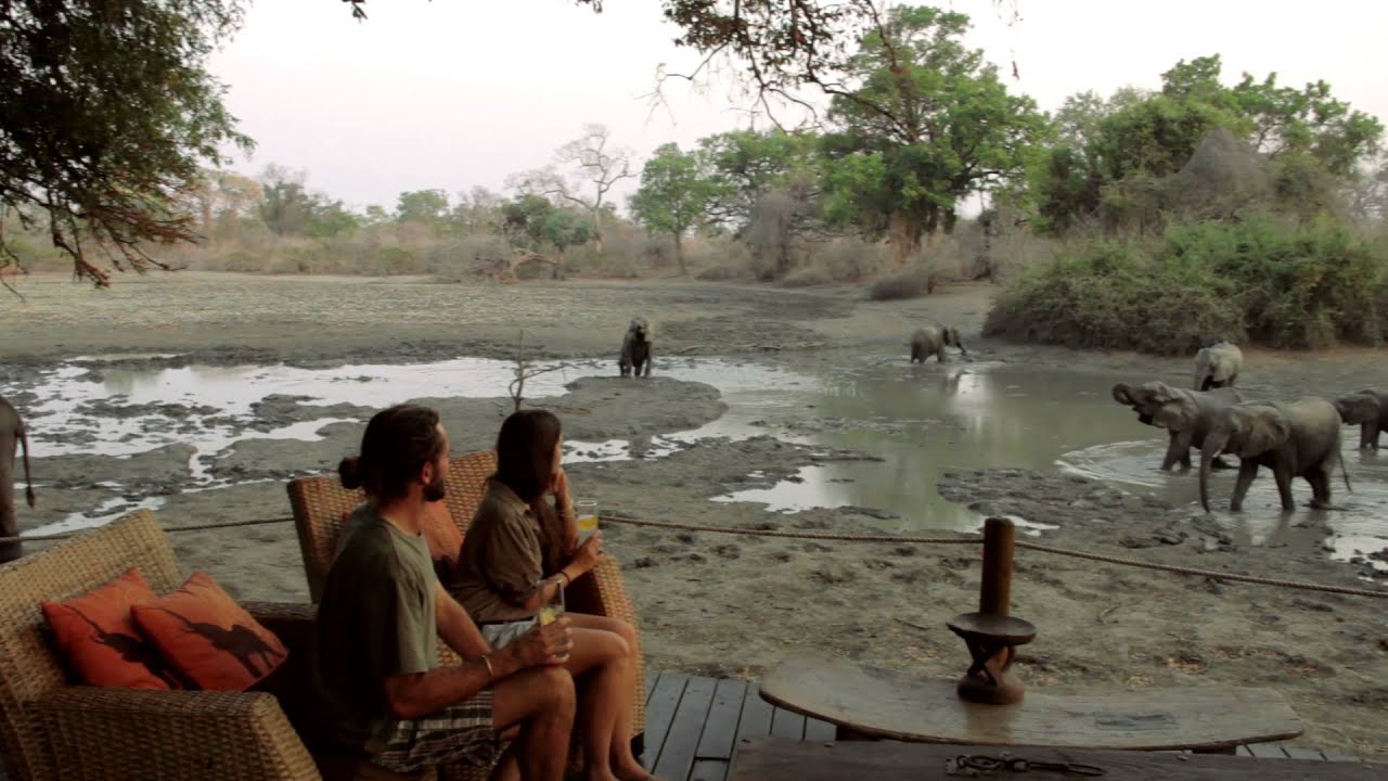 Experience Africa with African Bush Camps