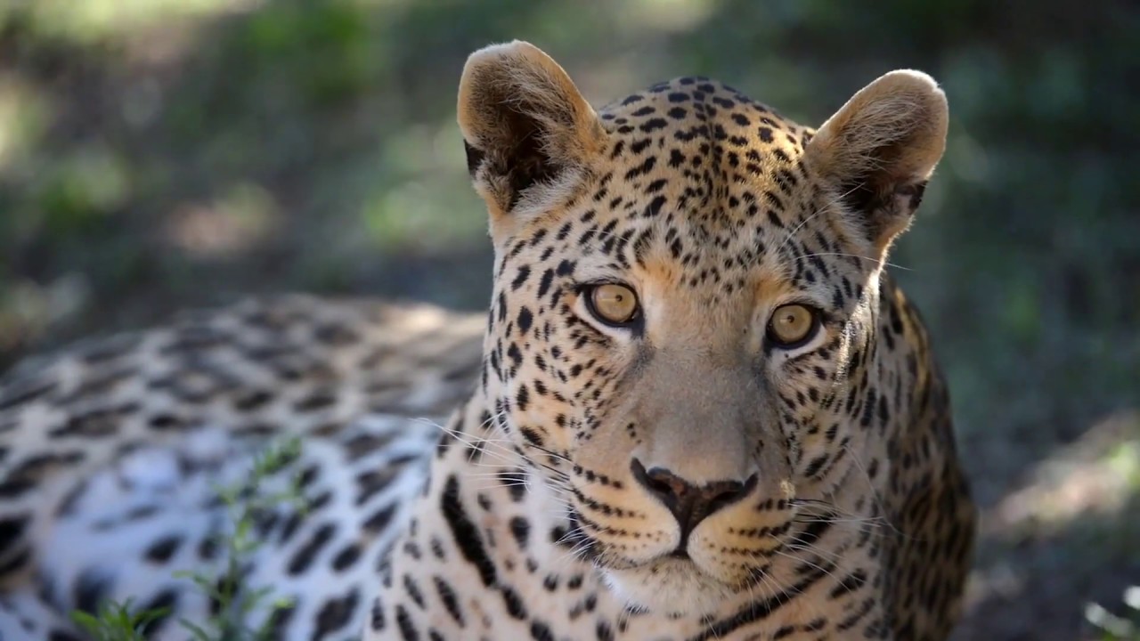 South Africa and Namibia Classic Self Drive Adventure