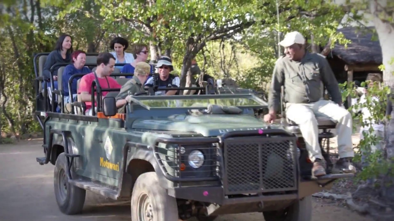A game drive experience at Motswari Private Game Reserve
