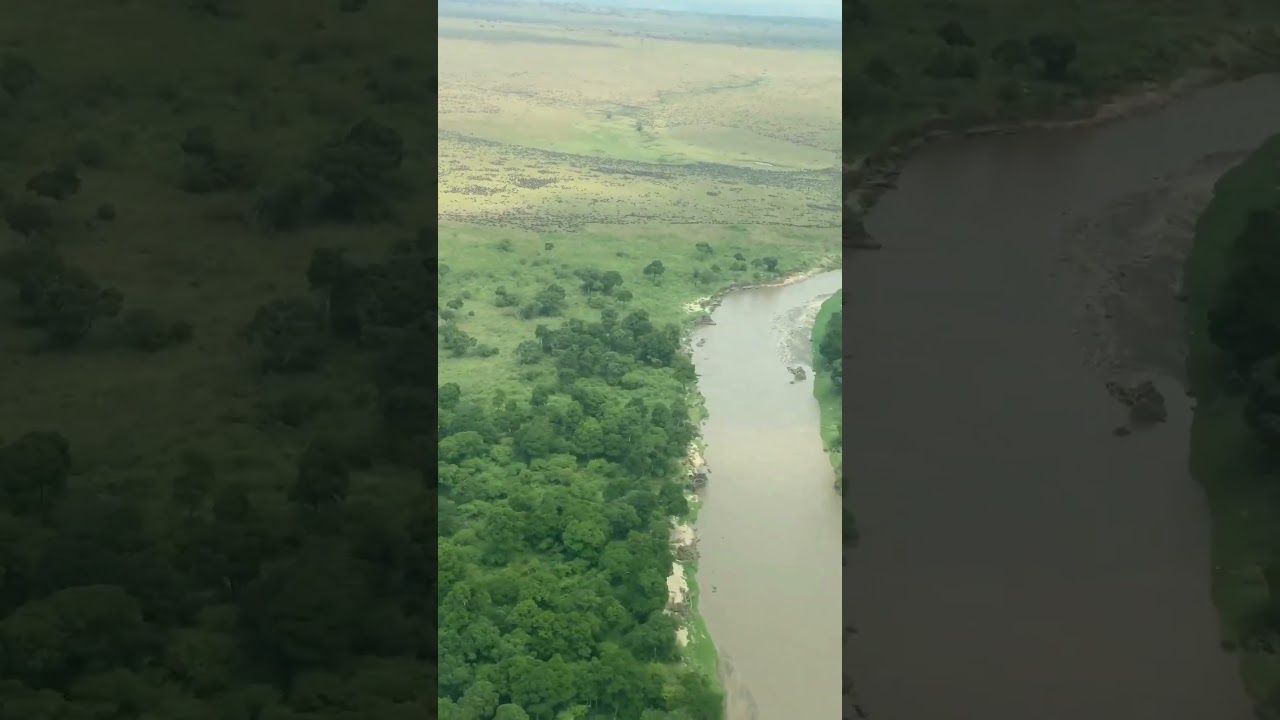 Megaherds sighted from above near the Sand River!