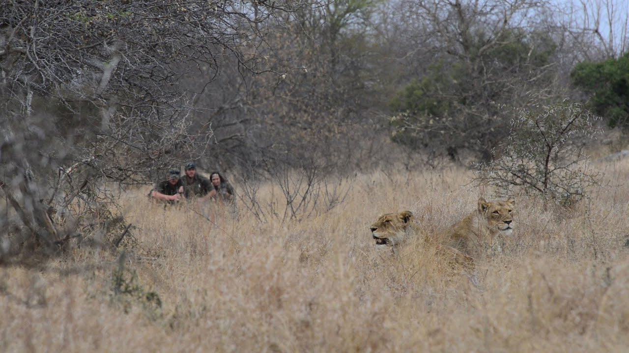 Africa on Foot - Safari Experience
