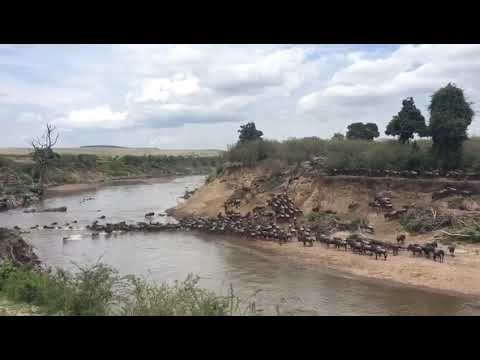 Big Great Migration Crossing from the Mara Triangle