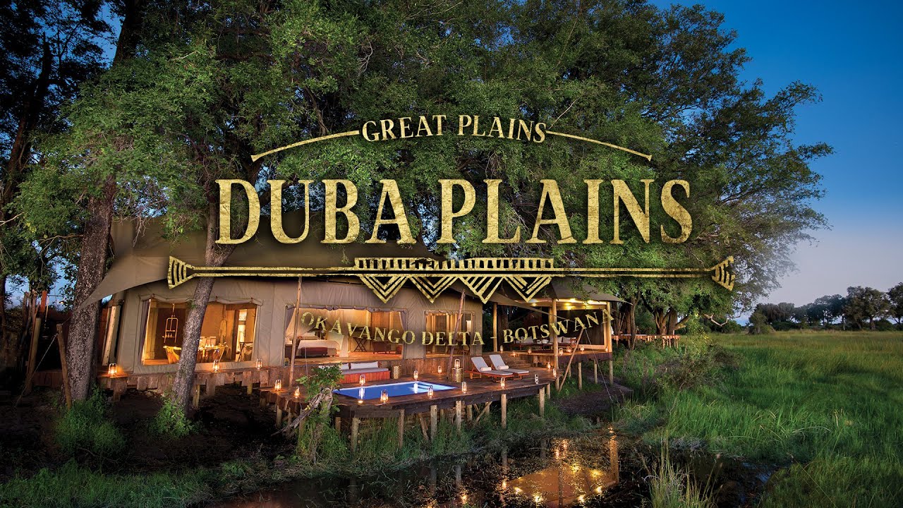 Duba Plains Camp and the Duba Plains Suite - Botswana's icon safari camp