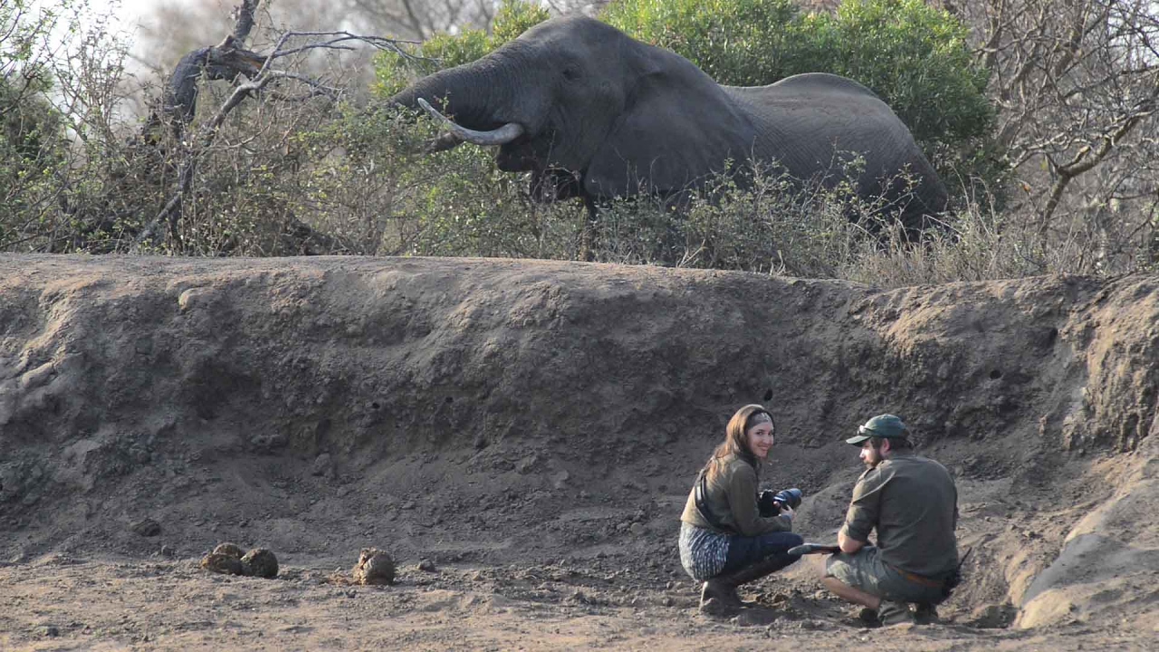 Africa on Foot - Kruger Park Walking Safaris