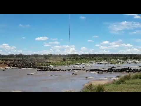 Latest #HerdTracker update: Huge crossing at point no 7 from the Lamai Wedge to the Kogatende