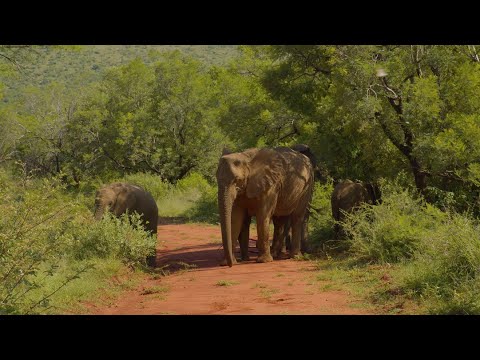 LETAMO Lodge at QWABI Private Game Reserve