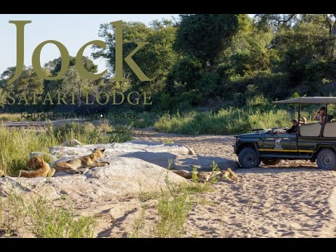 Jock Safari Lodge - Untamed, Untouched, Unforgettable