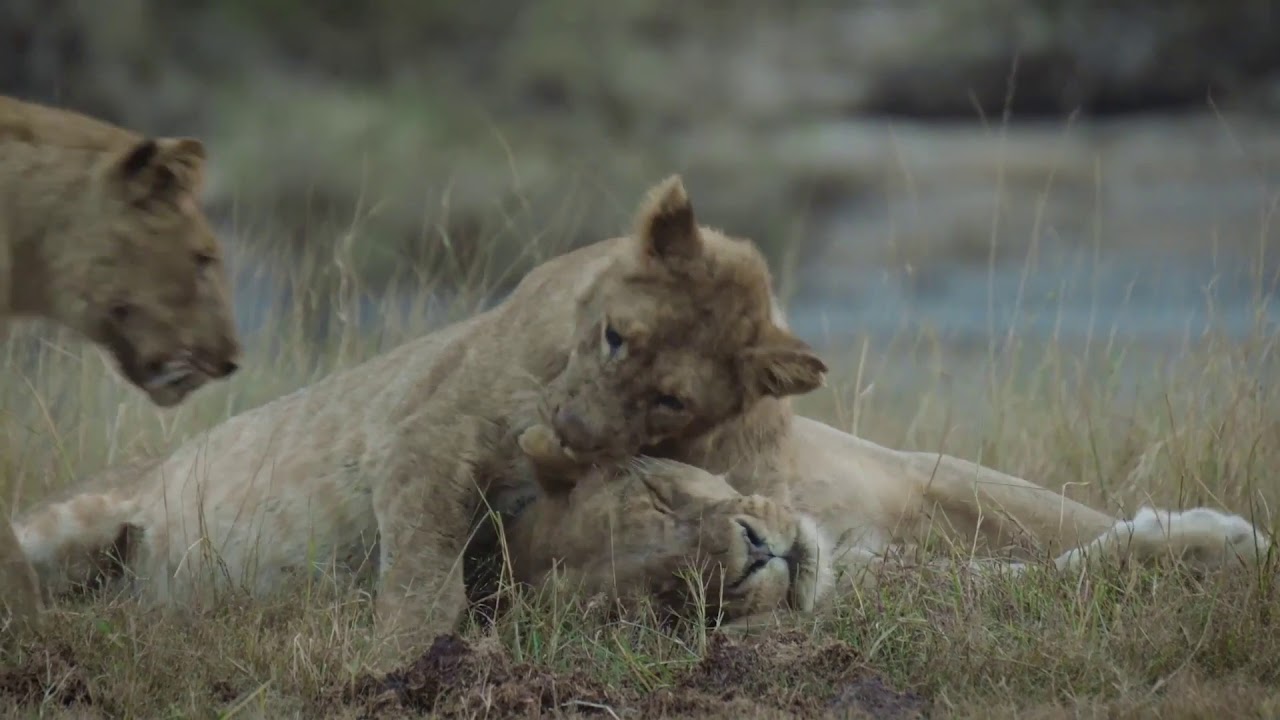 Luxury Okavango Delta, Chobe and Victoria Falls Safari