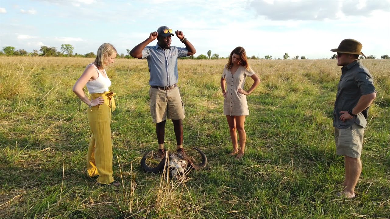 Nantwich | Eco-Lodge in Hwange National Park