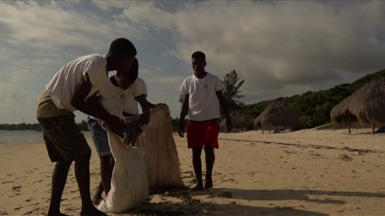 Bahia Mar Plastic Free