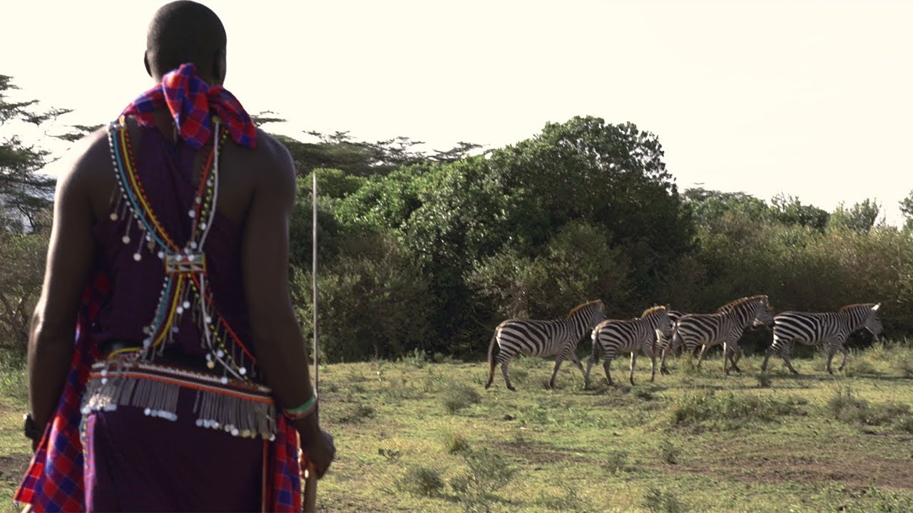 Mesmerising moments with Saruni Mara & Saruni Wild