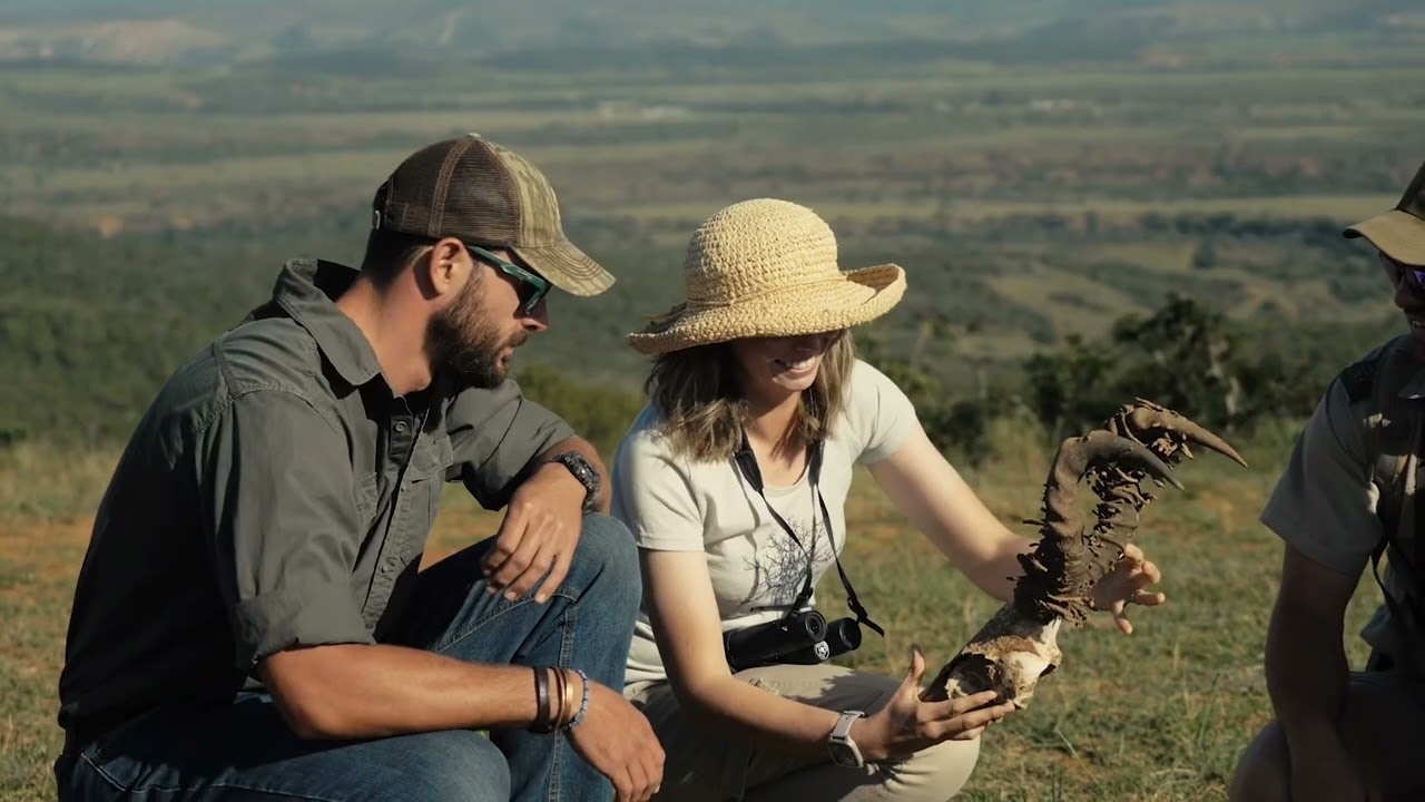 Shamwari - Explorer Camp