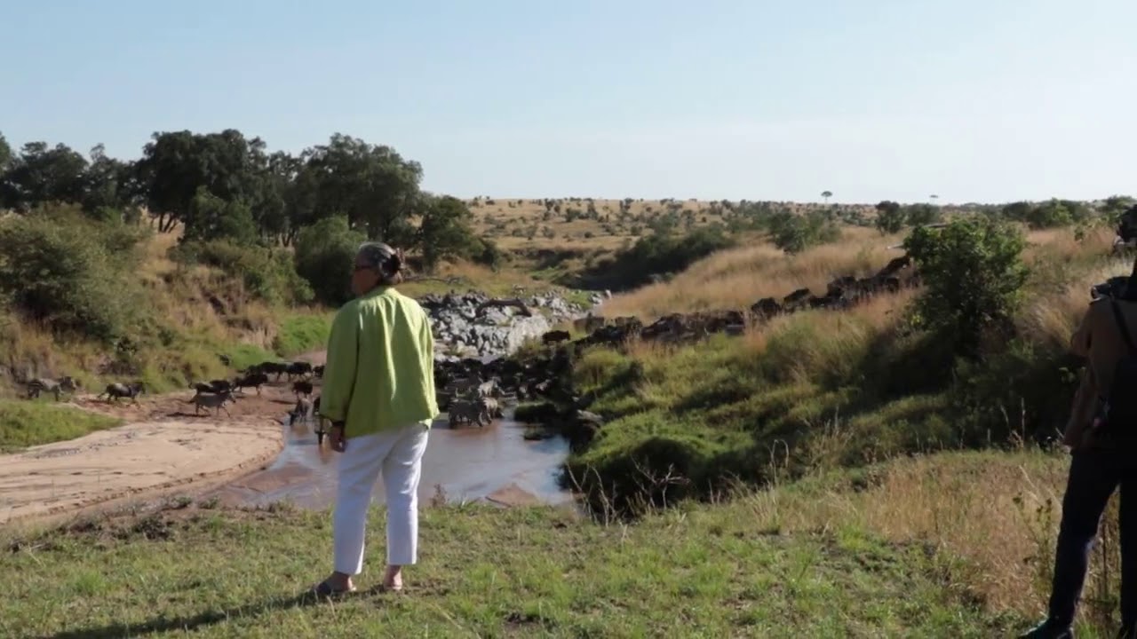 30,000 wildebeest and zebra crossed the Sand River